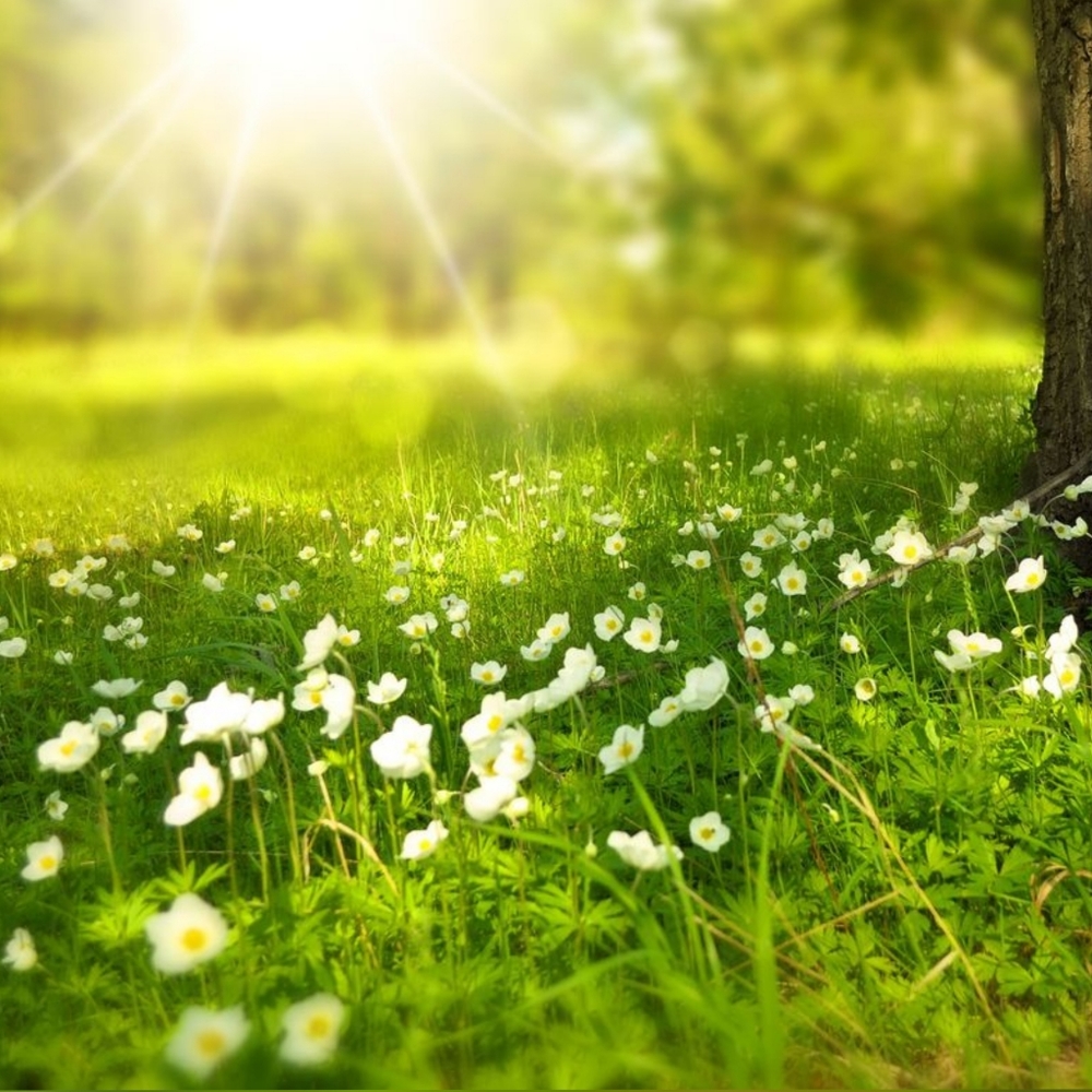 It's Spring!!! 🌷🌻 Yahoo!!